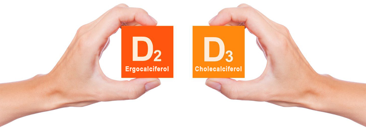 What is the difference between Vitamin D2 and D3?