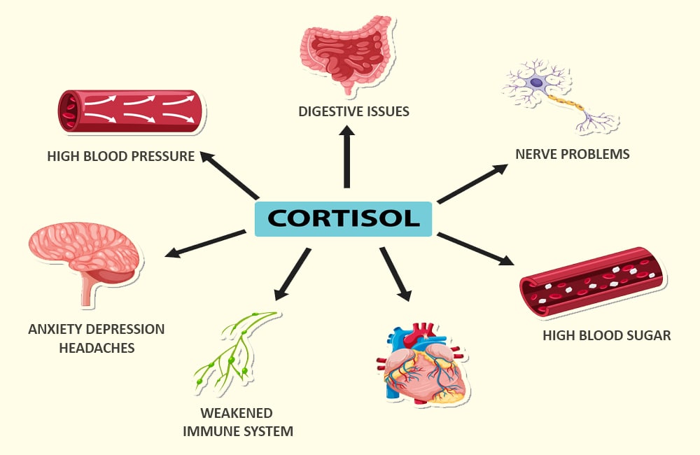 High cortisol levels: symptoms and causes