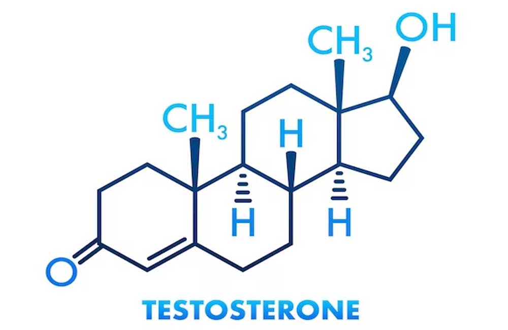 5 effective ways to increase testosterone levels naturally