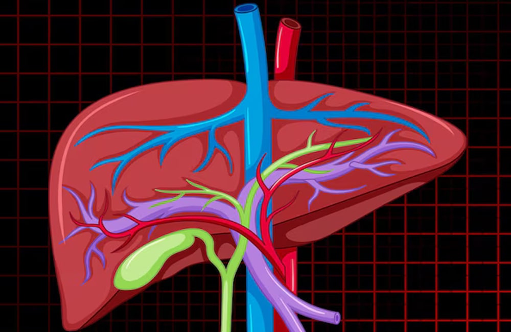 What is liver failure? Know about its causes, symptoms and treatment