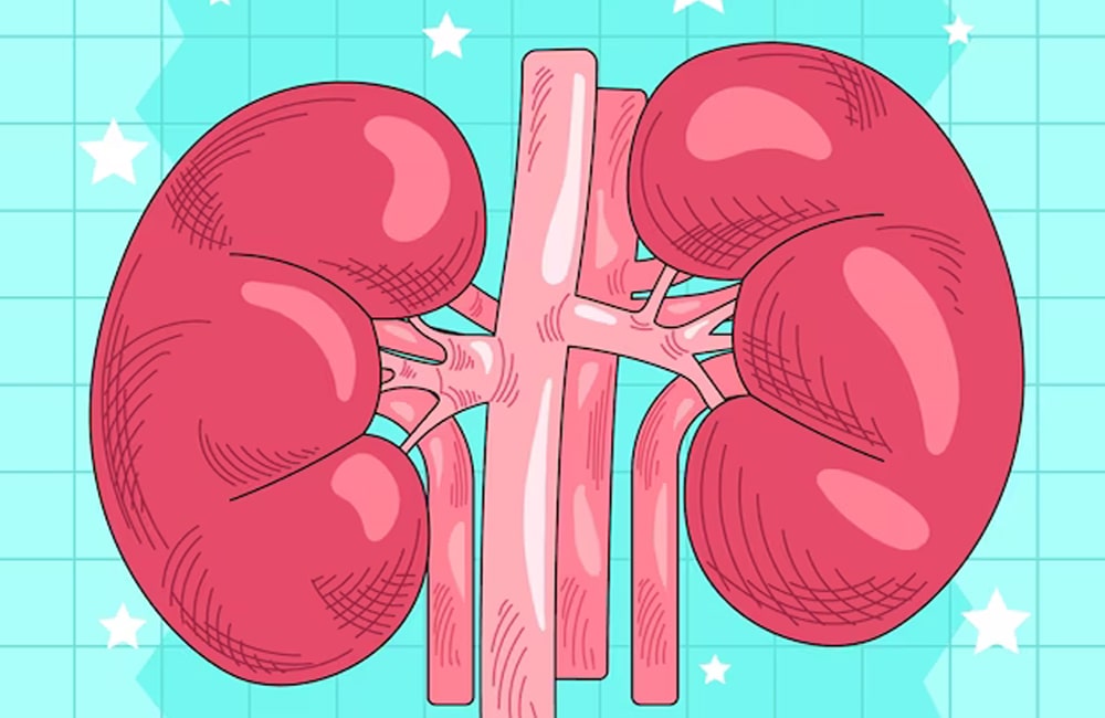 9 signs you may have a kidney disease 